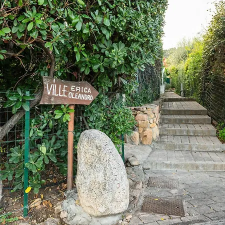 Villa Amaranta - Is Molas