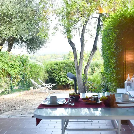 Amaranta - Is Molas *