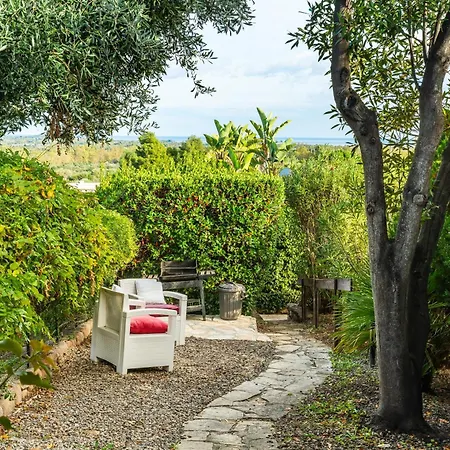 Amaranta - Is Molas *