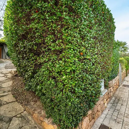 Apartmán Amaranta - Is Molas *